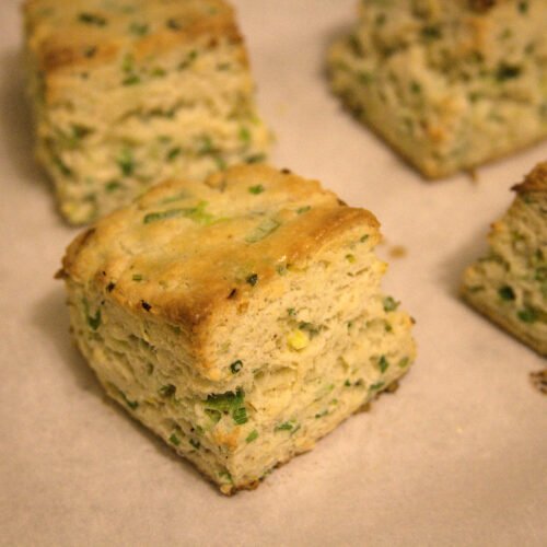 Gluten Free Sour Cream & Green Onion Biscuits