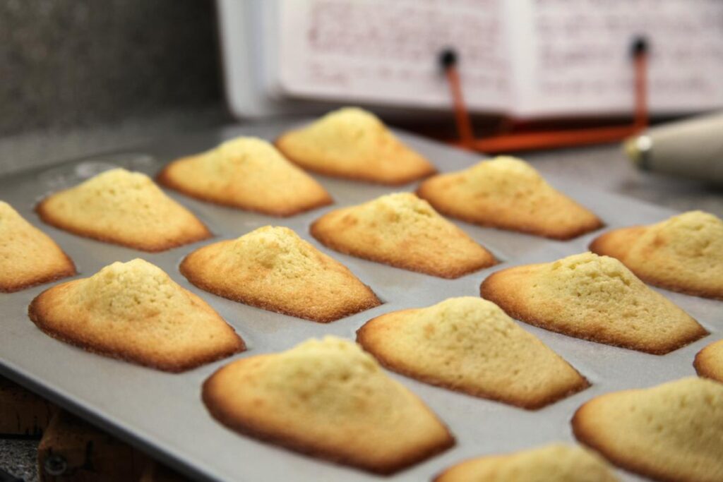 A pan of madeleines after baking. The tops are gently domed and the edges are browned.