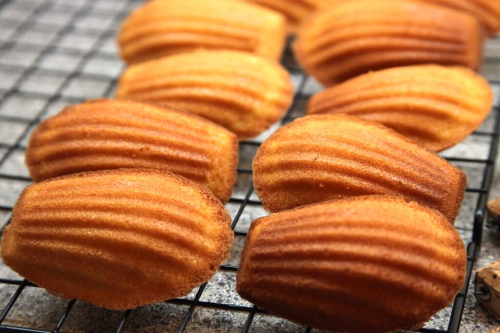 Eight madeleines cooling on a wire rack. The scalloped side of the madeleines is facing towards the camera.