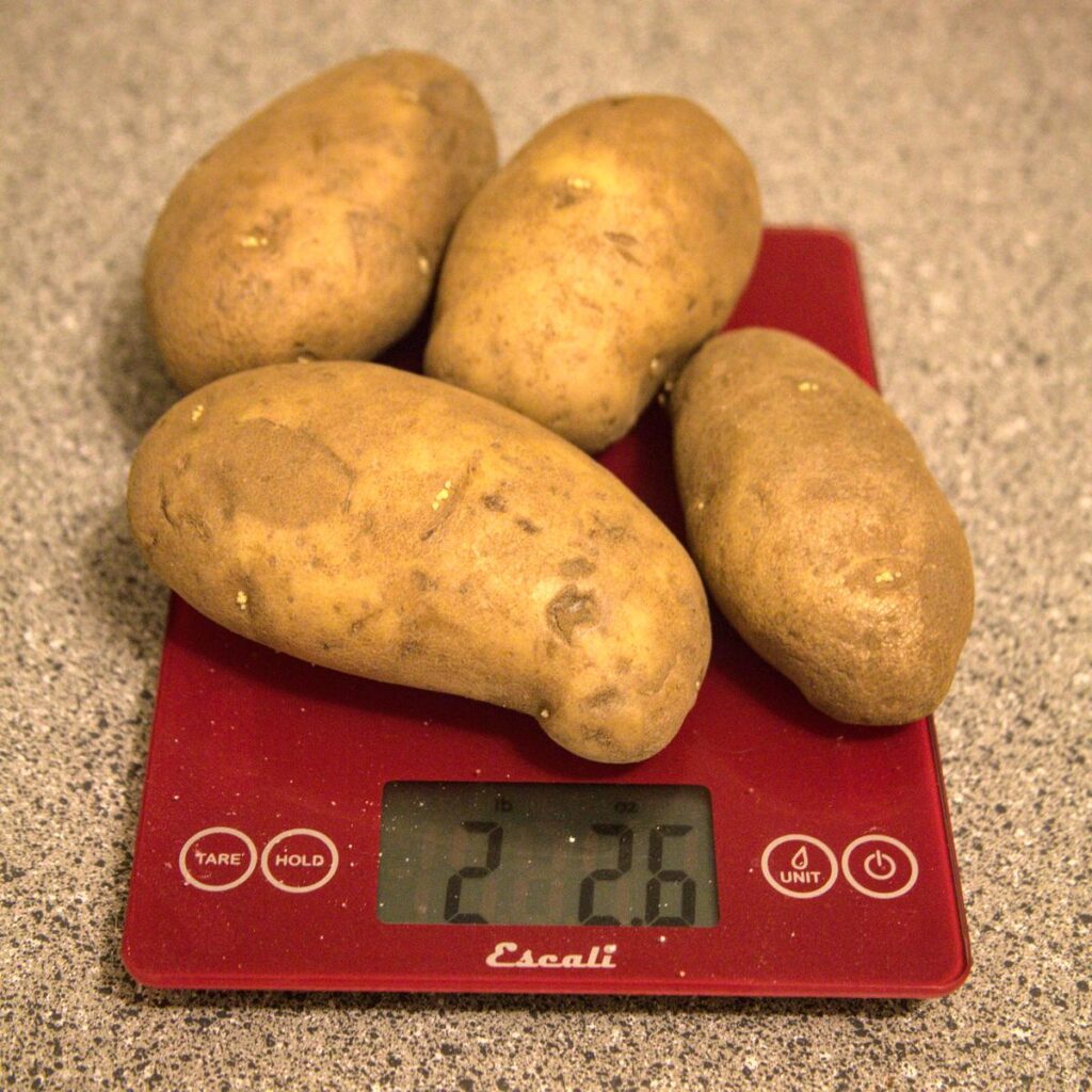 Four russet potatoes on a scale, weighing 2lbs 2.6oz