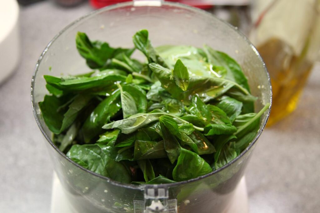 A close-up of the bowl of a food processor. It is full almost to the brim with basil leaves.